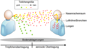 Hoe gedragen virusdeeltjes zich?